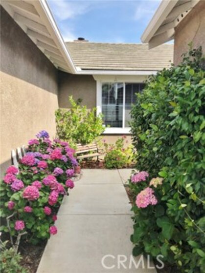 32290 Daisy Drive Photo